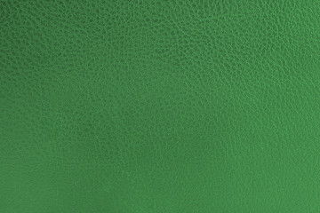 close-up of green leather texture