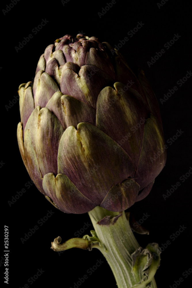 Fototapeta premium artischocke 2