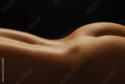 torso