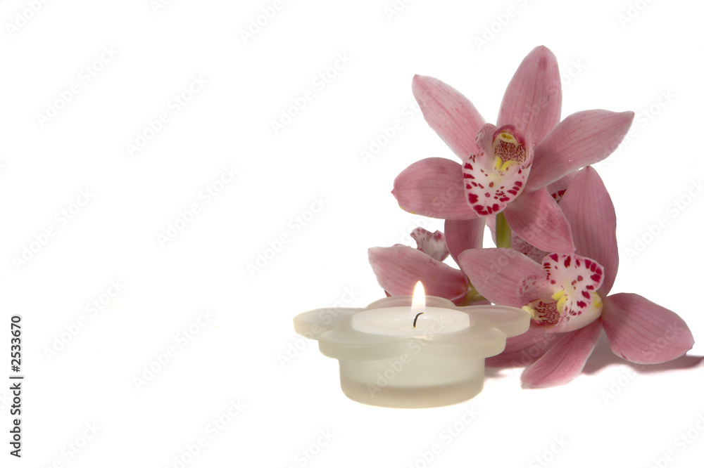 orchid and candle