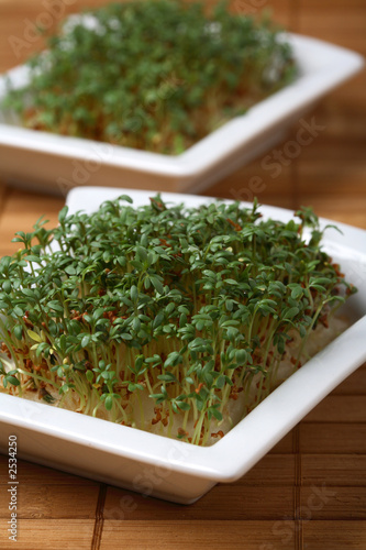 watercress
