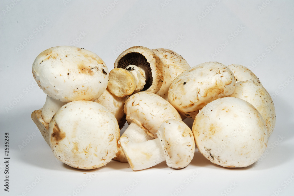 mushrooms detail mushrooms detail