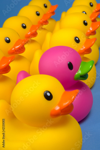 dare to be different - rubber ducks on blue