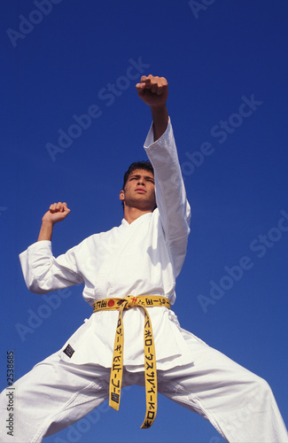 Obraz na płótnie karate