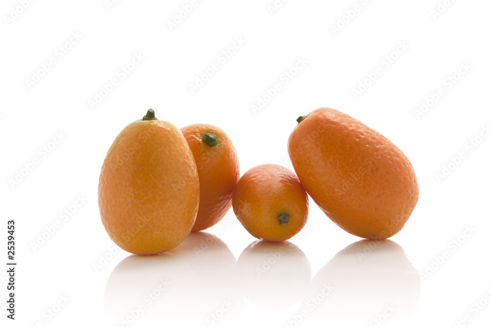 kumquat kumquat