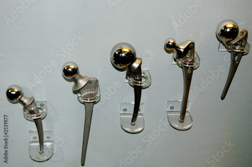 hip joints photo