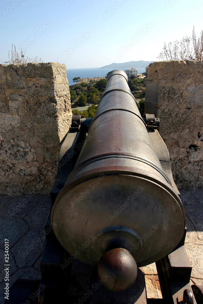 cannon in ibiza dalt vila
