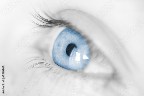 oeil bleu photo