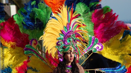Tablou canvas pesonnage de carnaval deguisé