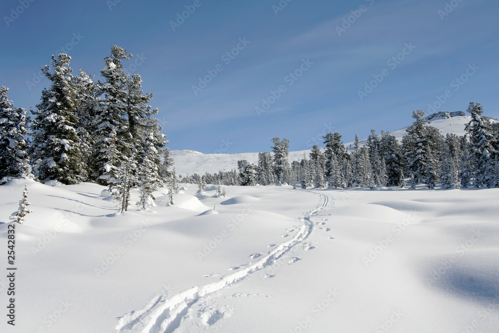 winter forest in mountains, ski-track