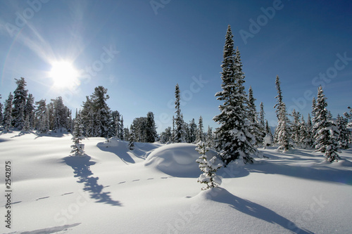 winter scene
