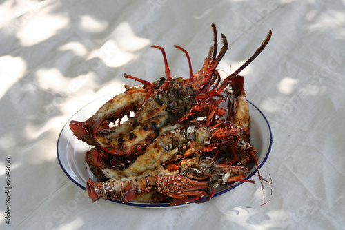 repas de langoustes grillées