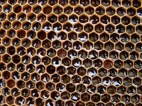 honey texture