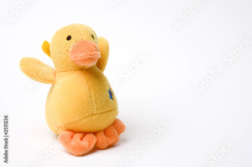 quack quack photo