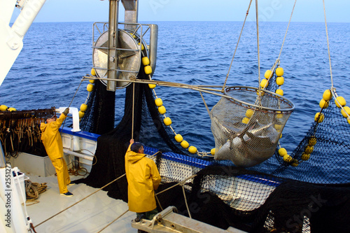 la pêche au thon-34