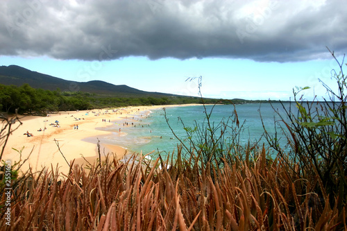 clouds and plants at makena