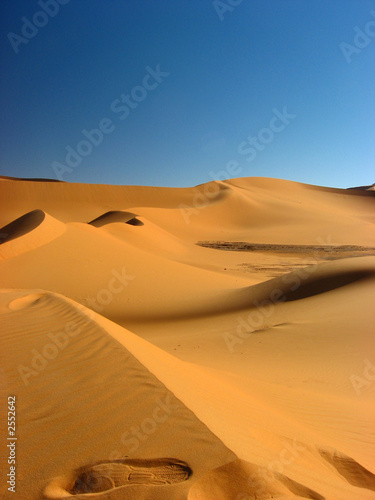 on a march   sur la dune  