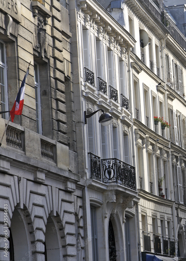 french architecture with flag