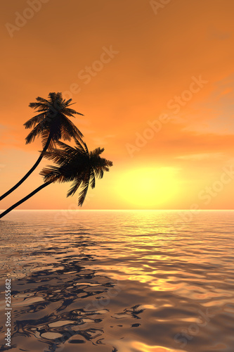 palm_sunset_v