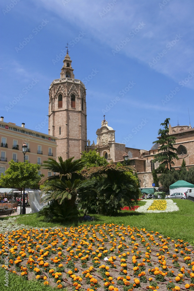 Fototapeta premium city view from old valencia