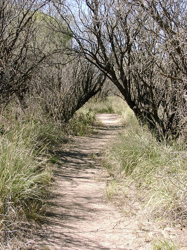 desert trail photo