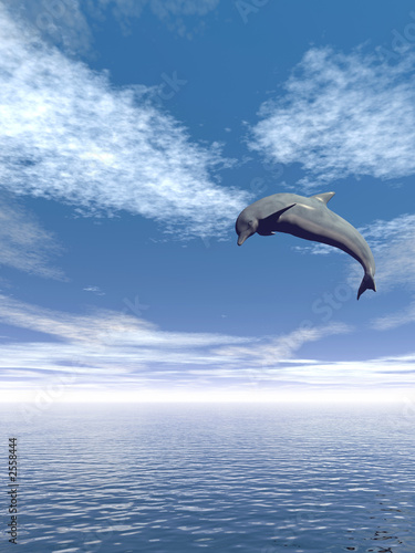 jump_dolphin_v