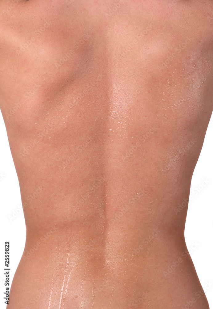 Fototapeta premium wet back