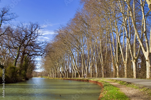 promenade au bord du canal photo