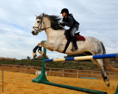 sport equestre photo