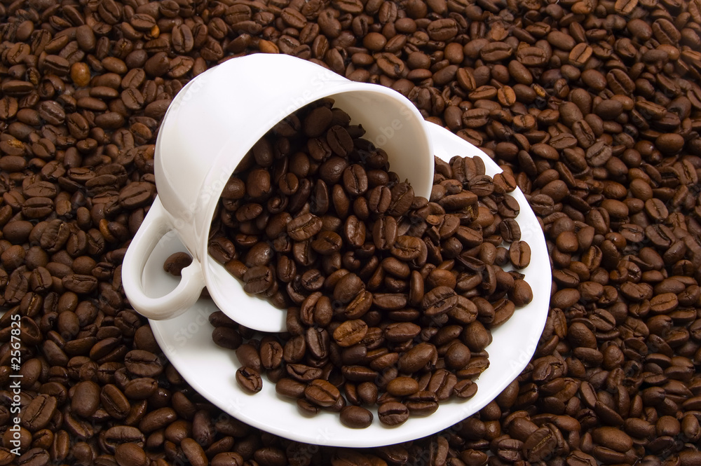 Fototapeta premium cup and coffee beans