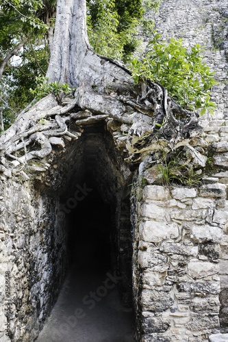 mayan site of coba photo