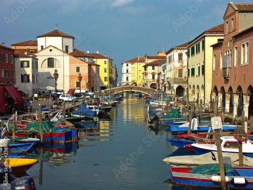 chioggia