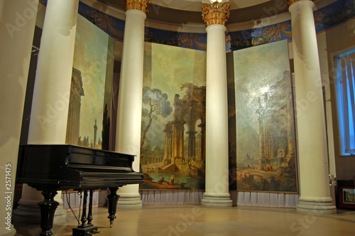 grand piano photo