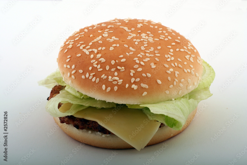 hamburger hamburger