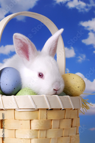 white rabbit in easter basket with decorated eggs