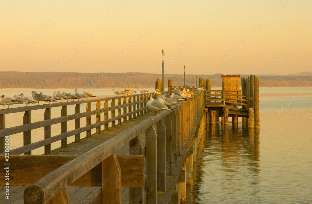 Obraz premium incredible sunsetcolor