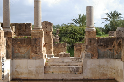 colonnes et palmiers à leptis magna
