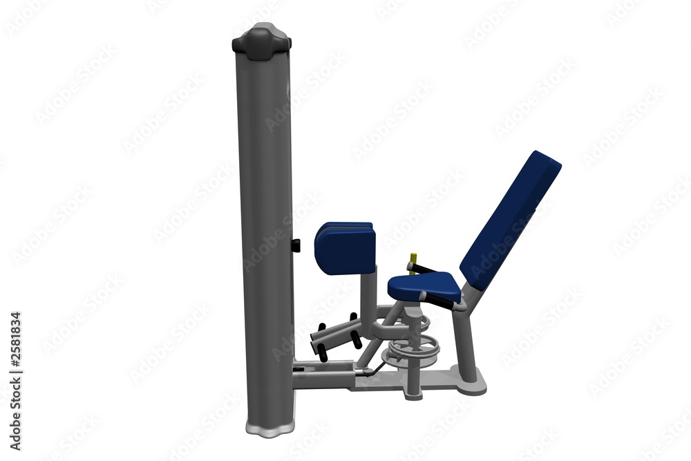 abductors - inner thigh 2 abductors - inner thigh 2