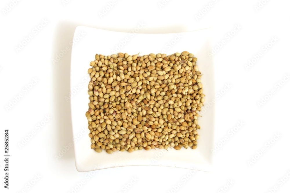 white coriander in square white bowl isolated white coriander in square white bowl isolated
