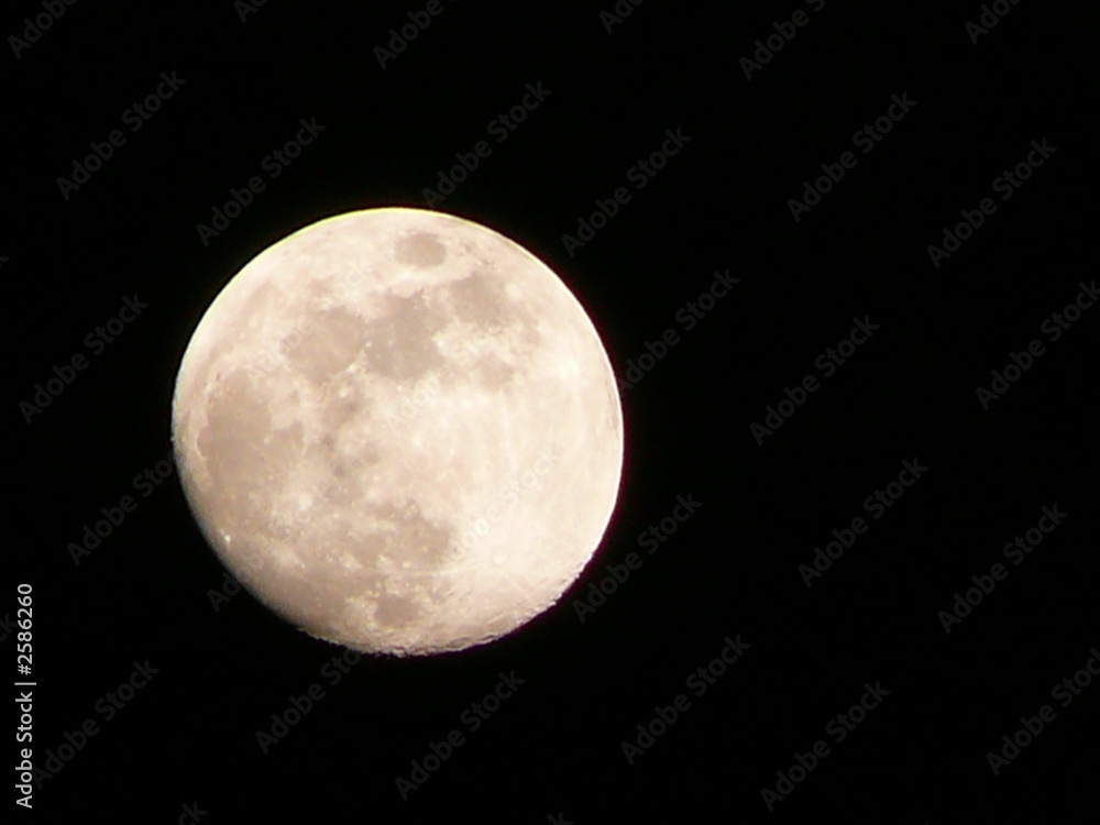 Fototapeta premium mond