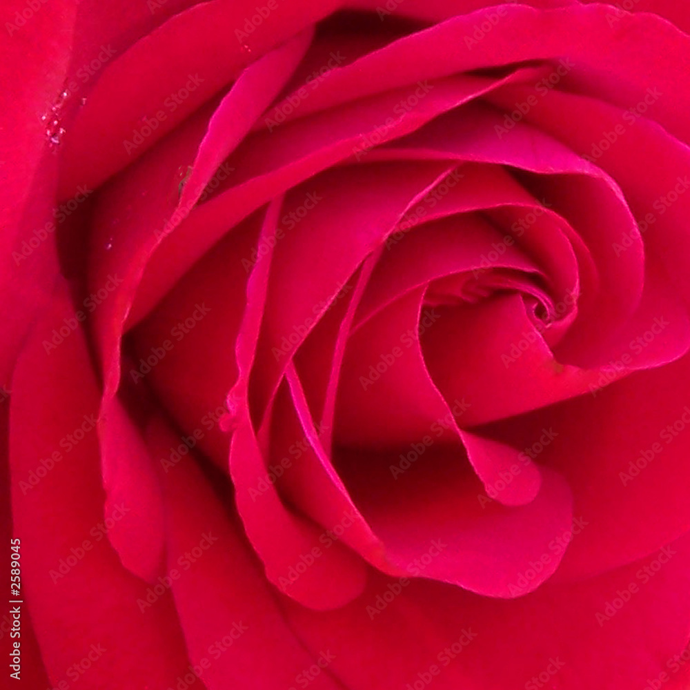 Naklejka premium red