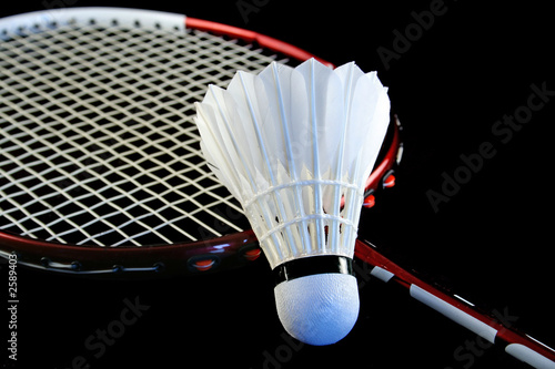 badminton racket