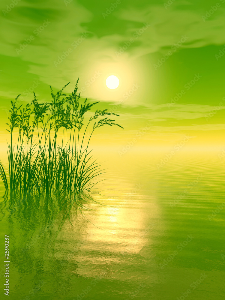 Obraz premium grass_sunset_va
