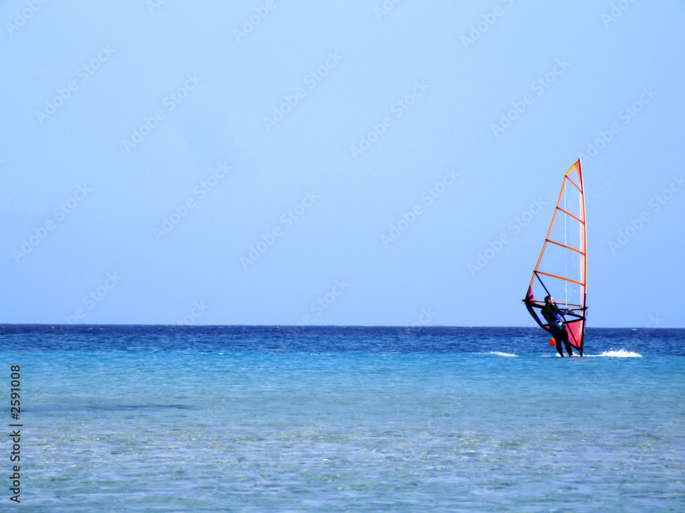 windsurfer