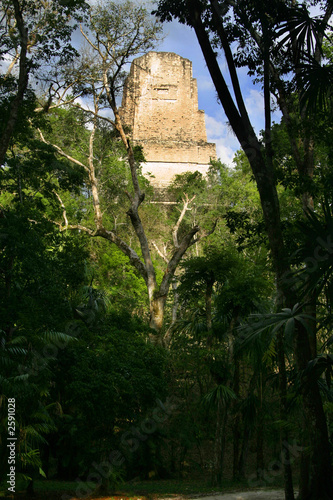 tikal tempel