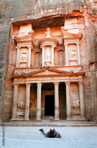 petra - the treasury with camel