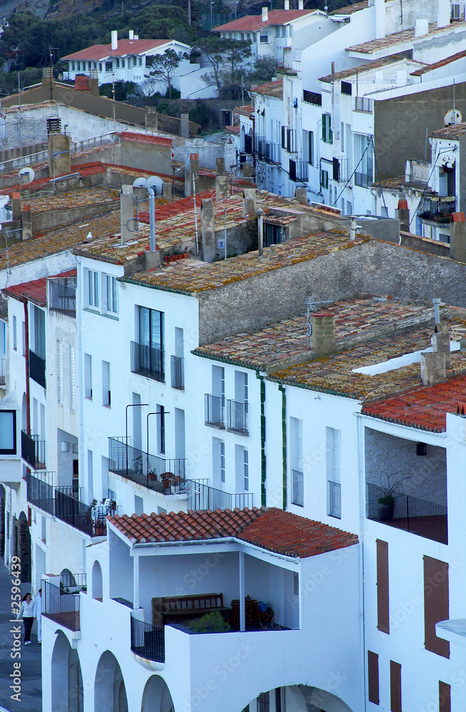 Fototapeta premium homes