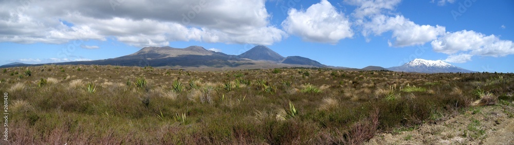 Obraz premium tongariro nationalpark