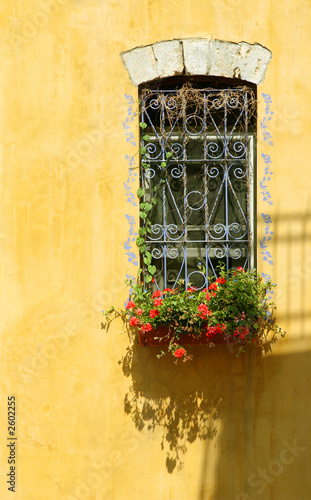 flowers at a window
