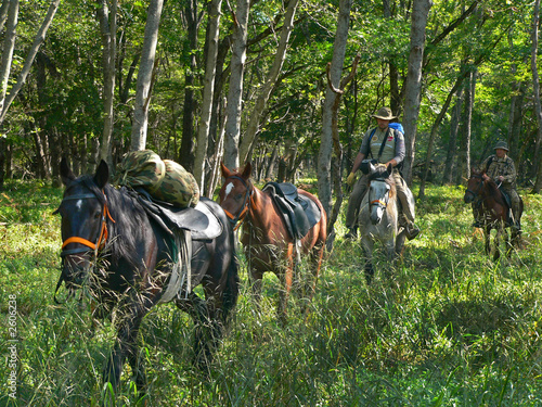 Valokuva horse expedition